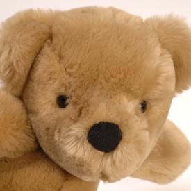 Ours en peluche Valorplast