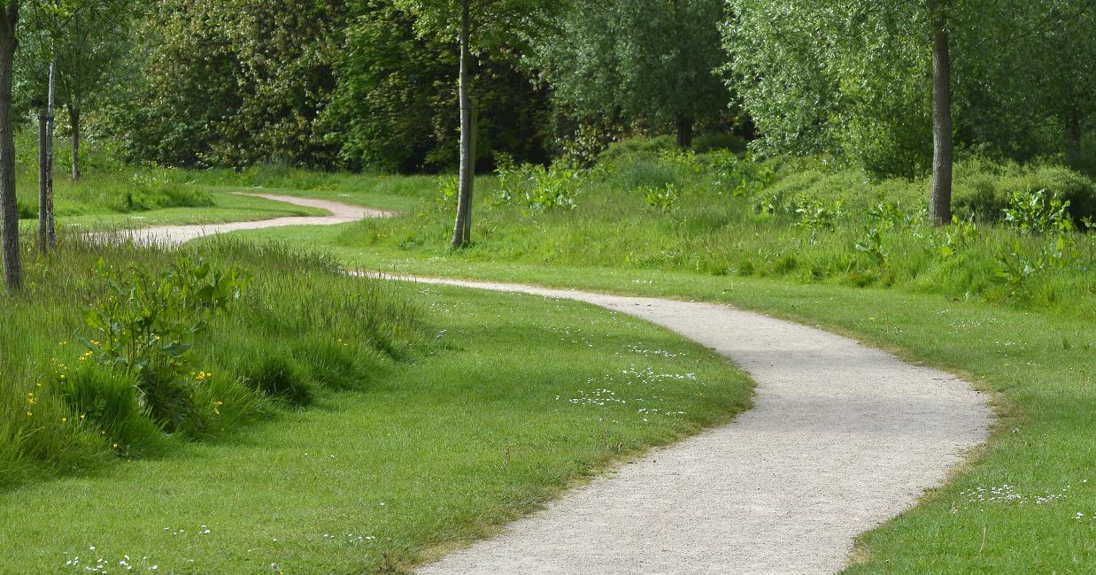 La gestion différenciée des espaces verts permet de réduire l'entretien tout en préservant la biodiversité